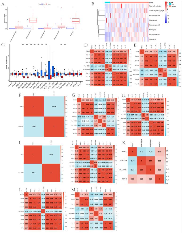 https://cdn.ncbi.nlm.nih.gov/pmc/blobs/13f3/10572834/88dc5cf2f399/ijms-24-14720-g006.jpg