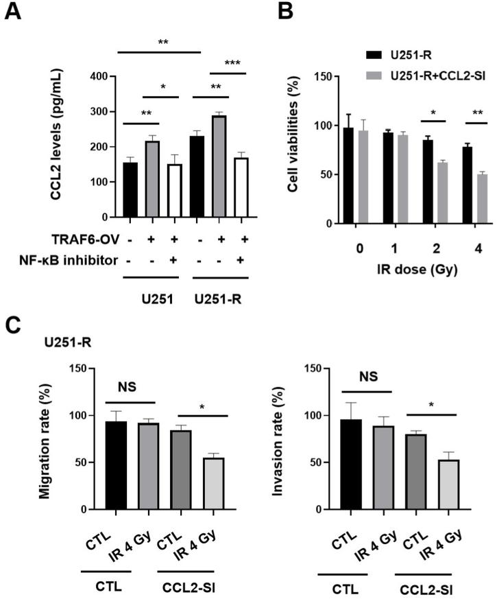 https://cdn.ncbi.nlm.nih.gov/pmc/blobs/13f5/10036657/071a8c5b5663/gr5.jpg