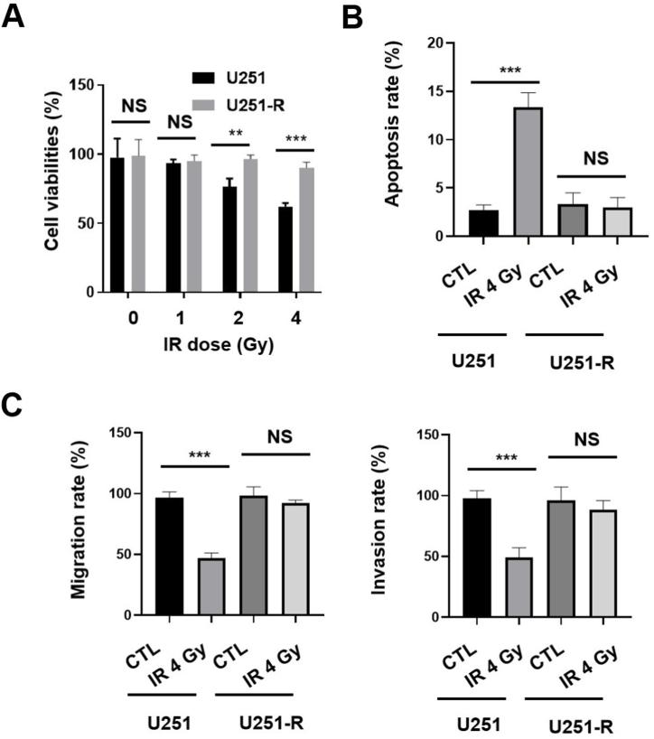 https://cdn.ncbi.nlm.nih.gov/pmc/blobs/13f5/10036657/32b1c9eaf359/gr1.jpg