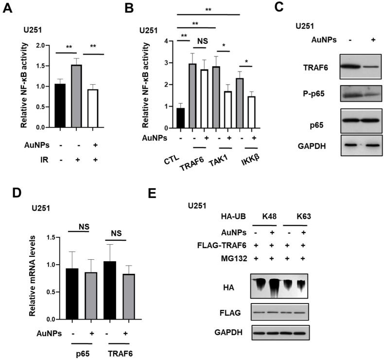 https://cdn.ncbi.nlm.nih.gov/pmc/blobs/13f5/10036657/53d1c528bc1a/gr4.jpg