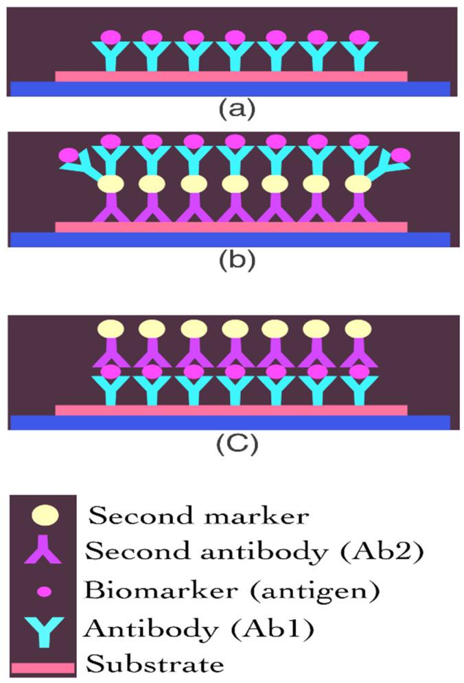 https://cdn.ncbi.nlm.nih.gov/pmc/blobs/13f5/9312890/9492e23e997e/biosensors-12-00498-g002.jpg
