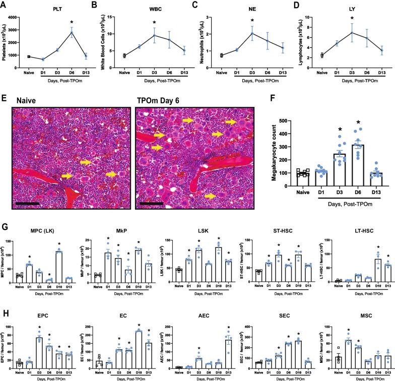 https://cdn.ncbi.nlm.nih.gov/pmc/blobs/13f6/11057170/30b895772d5d/13287_2024_3734_Fig1_HTML.jpg