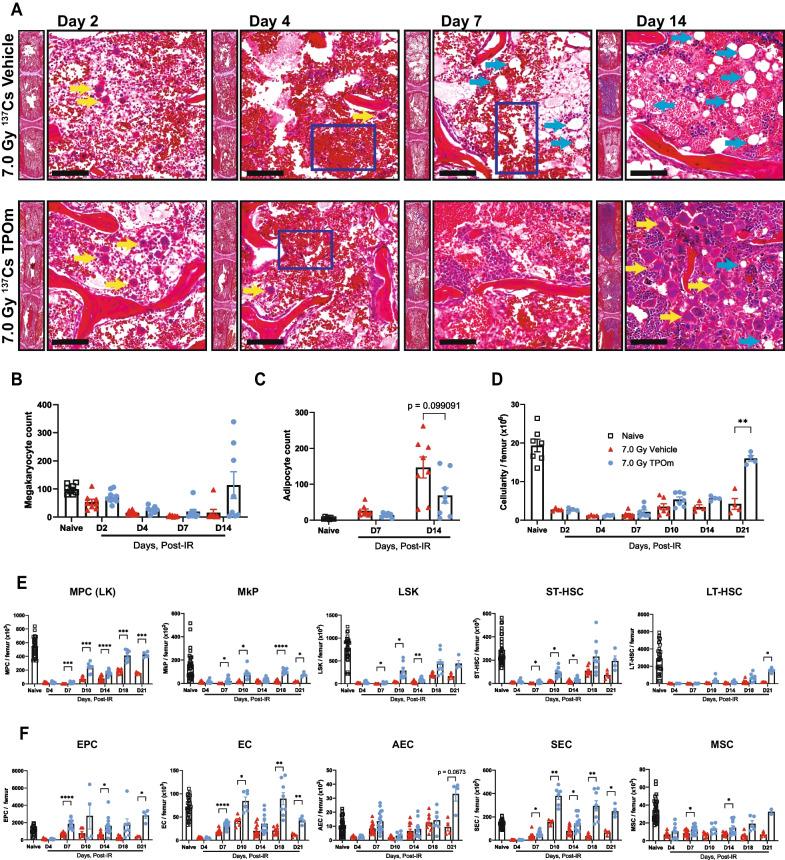 https://cdn.ncbi.nlm.nih.gov/pmc/blobs/13f6/11057170/63704cc041a8/13287_2024_3734_Fig2_HTML.jpg