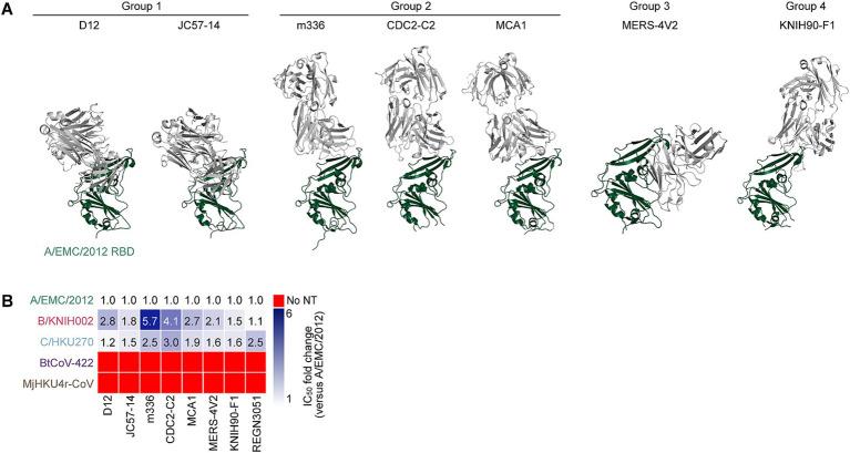 https://cdn.ncbi.nlm.nih.gov/pmc/blobs/13f6/12307460/a8da2006fb9d/fmicb-16-1593095-g002.jpg