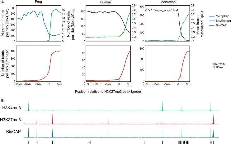 https://cdn.ncbi.nlm.nih.gov/pmc/blobs/13fb/3941105/b1b2e73c5ca4/401fig5.jpg
