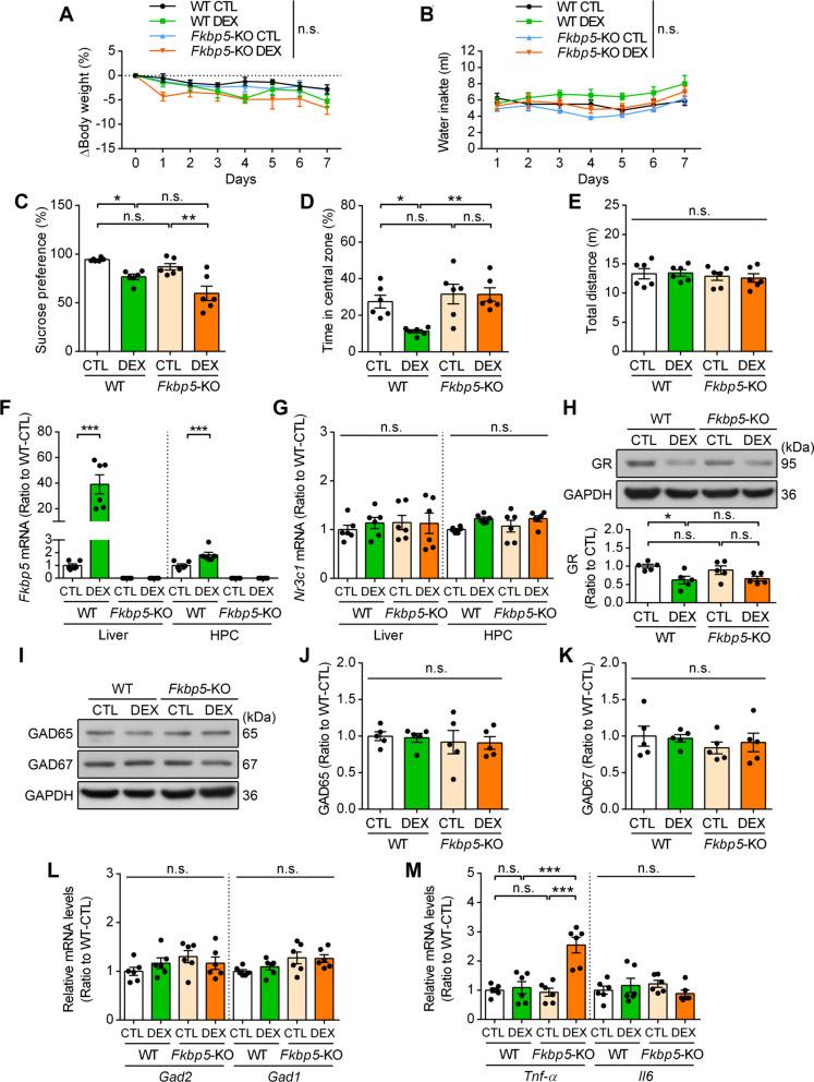 https://cdn.ncbi.nlm.nih.gov/pmc/blobs/13fb/9199306/2d2a53d33447/12974_2022_2517_Fig6_HTML.jpg