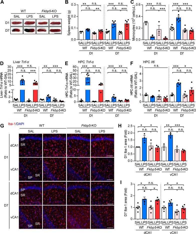 https://cdn.ncbi.nlm.nih.gov/pmc/blobs/13fb/9199306/713ddaee49a1/12974_2022_2517_Fig2_HTML.jpg