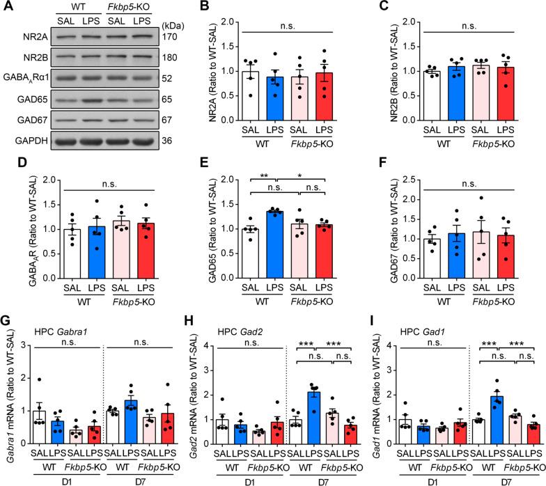 https://cdn.ncbi.nlm.nih.gov/pmc/blobs/13fb/9199306/8024fb083165/12974_2022_2517_Fig5_HTML.jpg