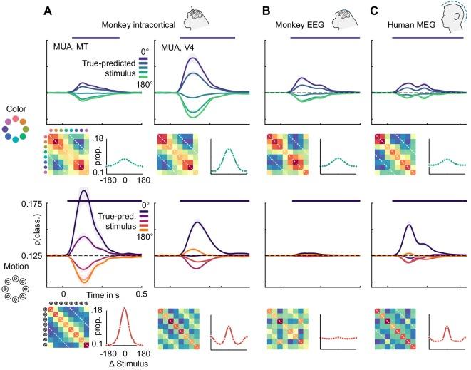 https://cdn.ncbi.nlm.nih.gov/pmc/blobs/13fc/6615858/e8fb4df9f4c0/elife-45645-fig6.jpg