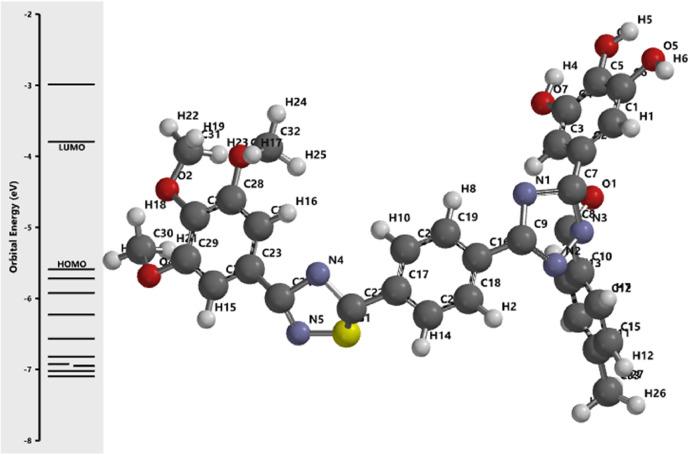 https://cdn.ncbi.nlm.nih.gov/pmc/blobs/13fd/11214998/8c21a71c8a2c/gr9.jpg