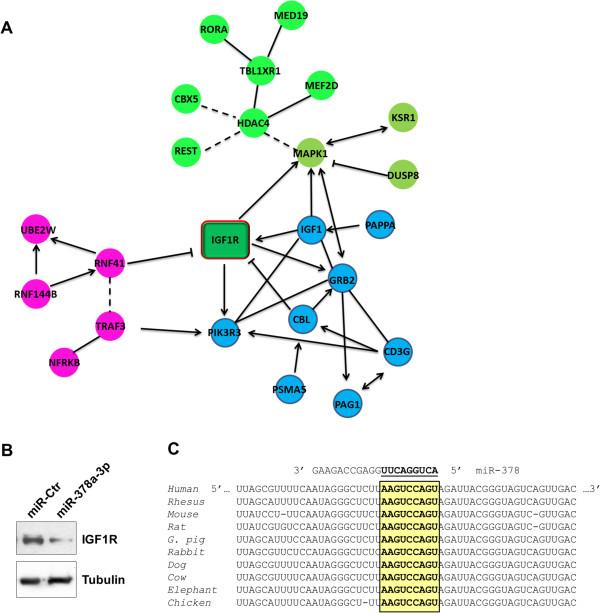 https://cdn.ncbi.nlm.nih.gov/pmc/blobs/13fd/4289215/344cbff6f27e/12885_2014_5127_Fig2_HTML.jpg