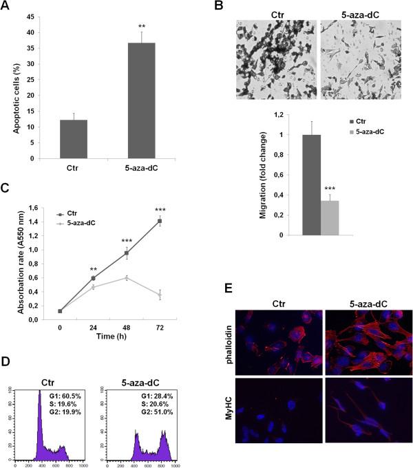 https://cdn.ncbi.nlm.nih.gov/pmc/blobs/13fd/4289215/4db2ebd24cc6/12885_2014_5127_Fig6_HTML.jpg