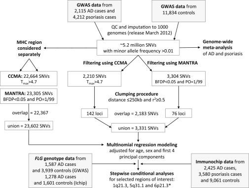 https://cdn.ncbi.nlm.nih.gov/pmc/blobs/1402/4289690/863fc5430cac/gr1.jpg