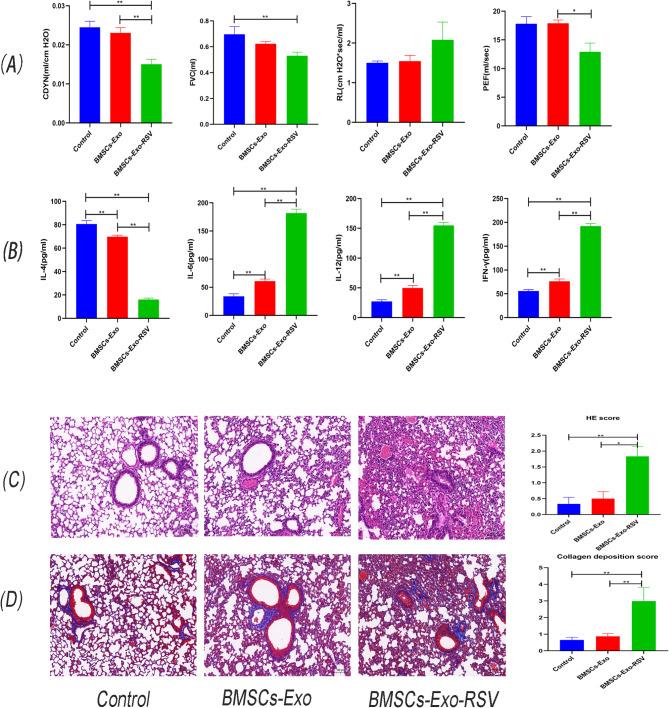 https://cdn.ncbi.nlm.nih.gov/pmc/blobs/1404/12012132/d2562d3ed76d/41598_2025_98160_Fig6_HTML.jpg