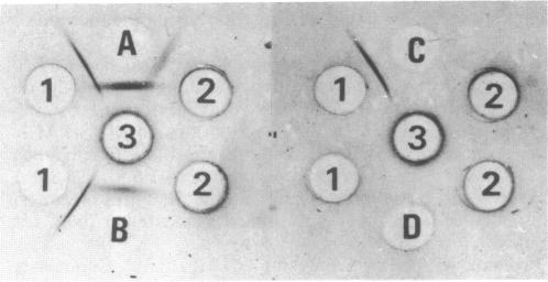 https://cdn.ncbi.nlm.nih.gov/pmc/blobs/1404/218972/8c50ee309b64/jbacter00221-0194-b.jpg