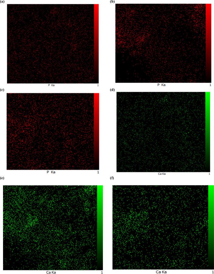 https://cdn.ncbi.nlm.nih.gov/pmc/blobs/1405/12216499/0be2db028050/41598_2025_7270_Fig10_HTML.jpg