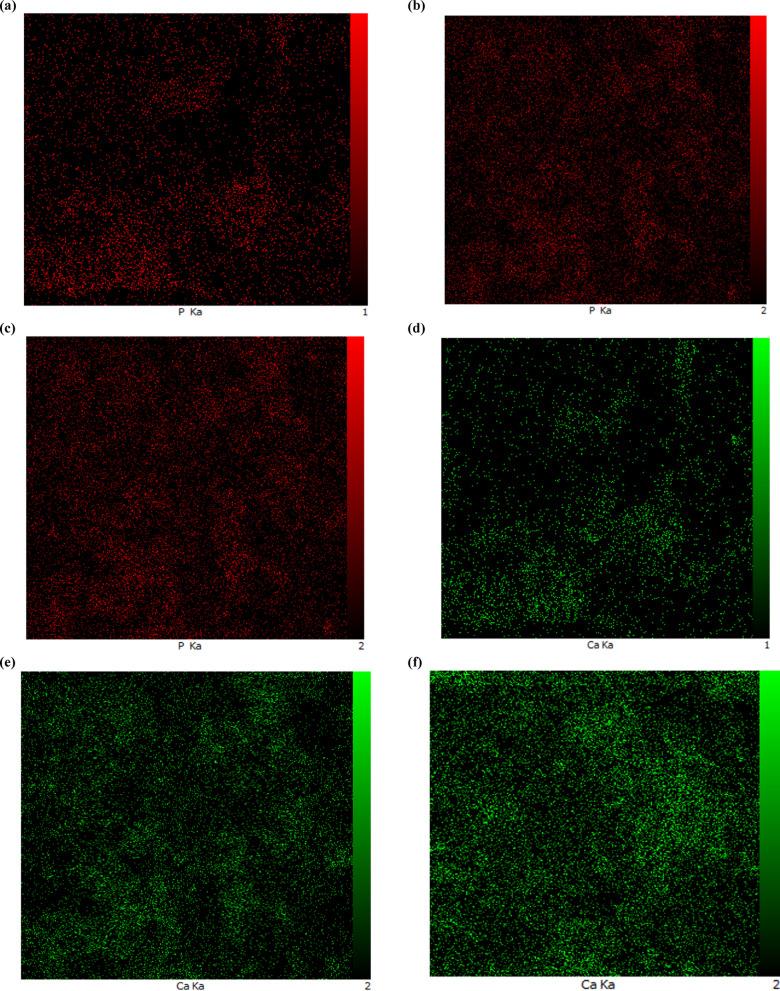 https://cdn.ncbi.nlm.nih.gov/pmc/blobs/1405/12216499/30b4833db2d2/41598_2025_7270_Fig11_HTML.jpg