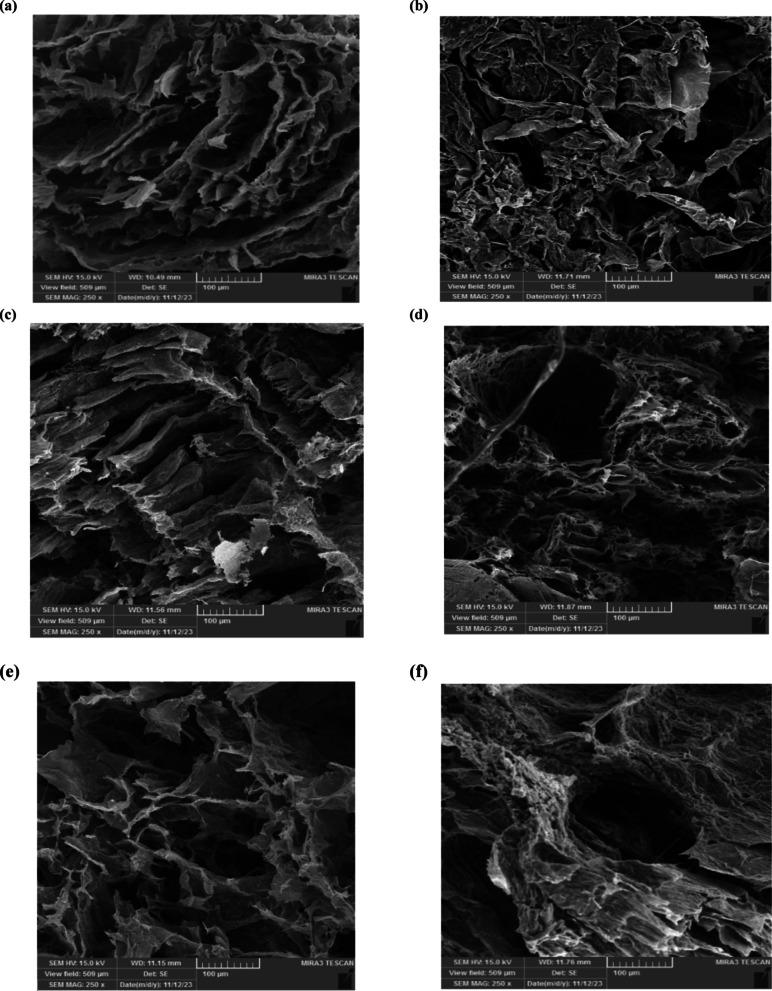 https://cdn.ncbi.nlm.nih.gov/pmc/blobs/1405/12216499/d7f72d3e0e47/41598_2025_7270_Fig4_HTML.jpg