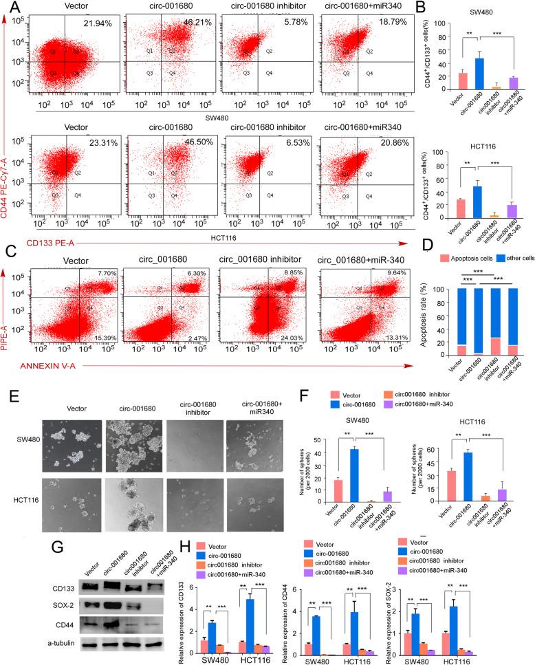 https://cdn.ncbi.nlm.nih.gov/pmc/blobs/1405/6993513/3b0d08110b9f/12943_2020_1134_Fig5_HTML.jpg
