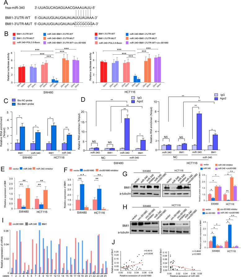 https://cdn.ncbi.nlm.nih.gov/pmc/blobs/1405/6993513/836edc71e02e/12943_2020_1134_Fig4_HTML.jpg