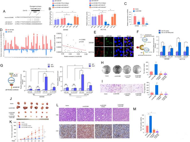 https://cdn.ncbi.nlm.nih.gov/pmc/blobs/1405/6993513/b720444eda42/12943_2020_1134_Fig3_HTML.jpg