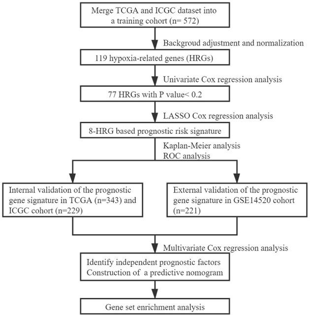https://cdn.ncbi.nlm.nih.gov/pmc/blobs/1406/8236897/09458c446db4/fgene-12-613890-g0001.jpg