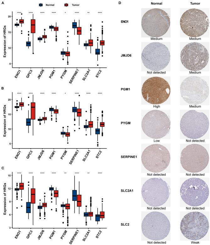 https://cdn.ncbi.nlm.nih.gov/pmc/blobs/1406/8236897/431c05b2f56f/fgene-12-613890-g0006.jpg