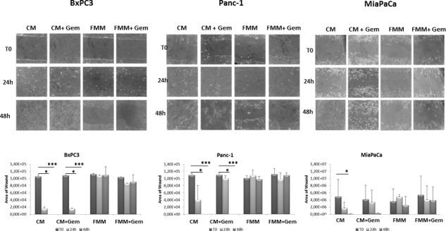 https://cdn.ncbi.nlm.nih.gov/pmc/blobs/1407/4621909/882e0dd04609/oncotarget-06-18545-g002.jpg