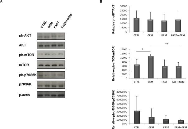https://cdn.ncbi.nlm.nih.gov/pmc/blobs/1407/4621909/b06591a3232b/oncotarget-06-18545-g008.jpg