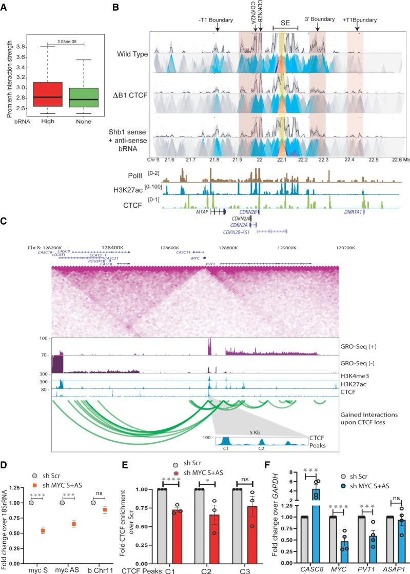 https://cdn.ncbi.nlm.nih.gov/pmc/blobs/1408/9977152/8ee316a79a47/1f07.jpg