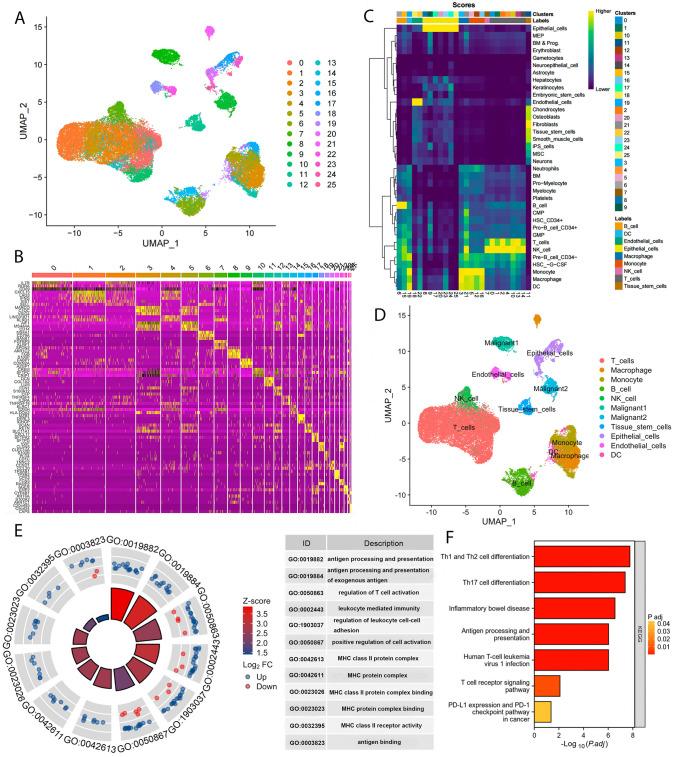 https://cdn.ncbi.nlm.nih.gov/pmc/blobs/140e/10590321/7b6716857c23/432_2023_5151_Fig1_HTML.jpg
