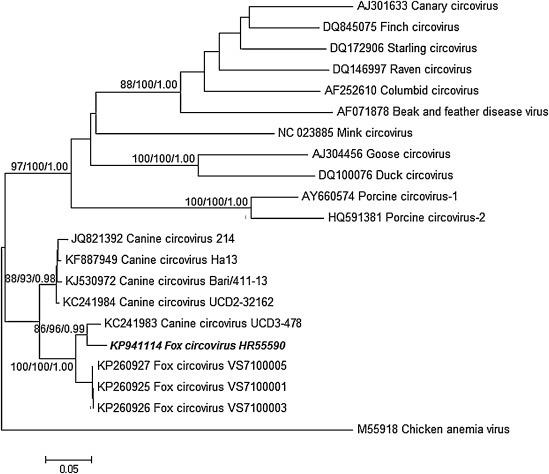 https://cdn.ncbi.nlm.nih.gov/pmc/blobs/140e/7112549/69c475edee45/gr2.jpg