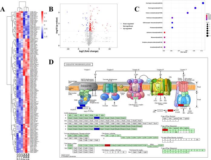 https://cdn.ncbi.nlm.nih.gov/pmc/blobs/140f/10295354/5c3b500045ae/se3c00068_0007.jpg