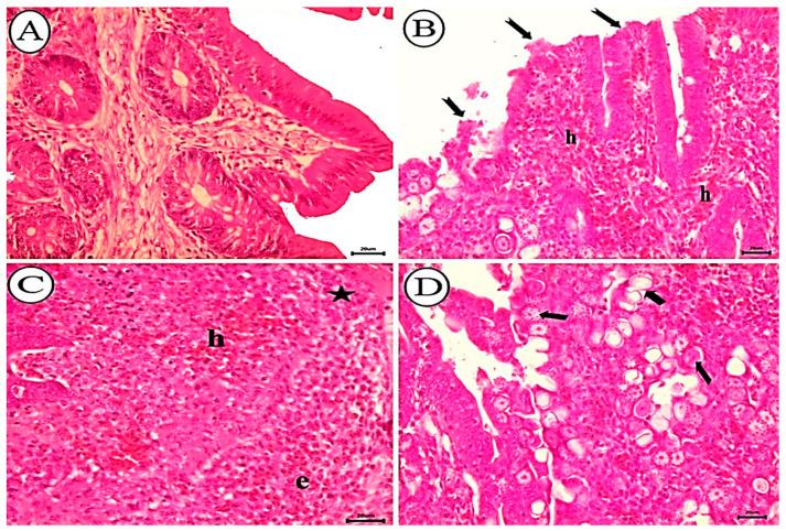 https://cdn.ncbi.nlm.nih.gov/pmc/blobs/140f/9686627/d98ea749557c/animals-12-03185-g006.jpg