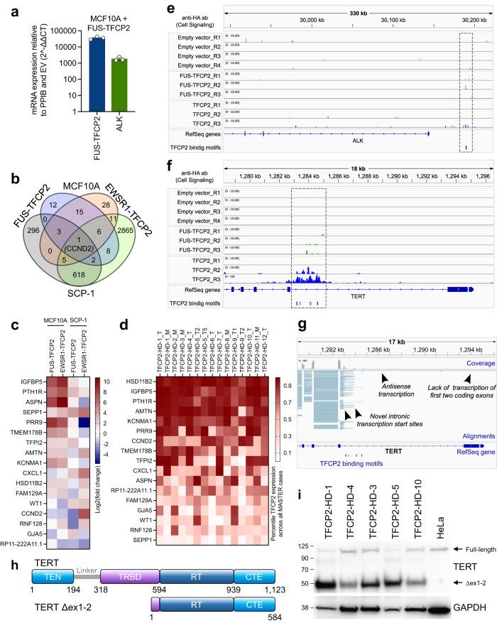 https://cdn.ncbi.nlm.nih.gov/pmc/blobs/1410/10761971/e9341b848053/41467_2023_44360_Fig5_HTML.jpg