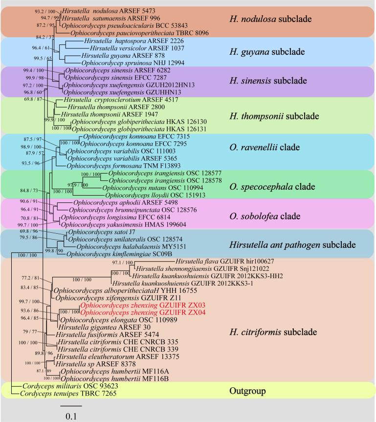 https://cdn.ncbi.nlm.nih.gov/pmc/blobs/1410/12323668/553bf2953032/spectrum.02159-24.f001.jpg