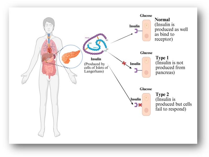 https://cdn.ncbi.nlm.nih.gov/pmc/blobs/1412/12196884/37cbaecfa148/pharmaceutics-17-00777-g001.jpg