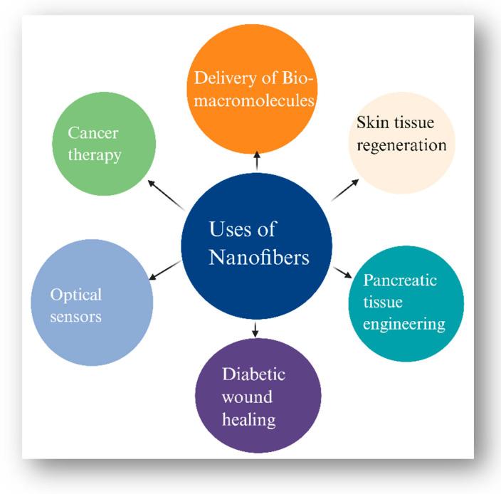 https://cdn.ncbi.nlm.nih.gov/pmc/blobs/1412/12196884/3c4f79cc3f89/pharmaceutics-17-00777-g004.jpg