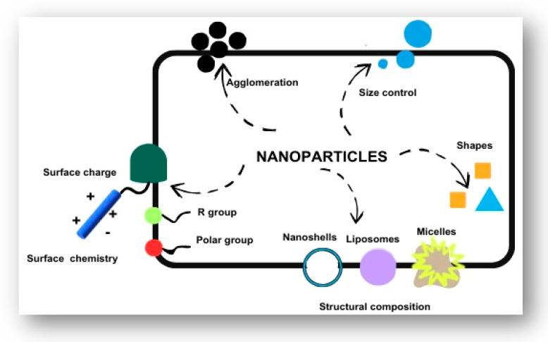 https://cdn.ncbi.nlm.nih.gov/pmc/blobs/1412/12196884/e35ee51f2768/pharmaceutics-17-00777-g003.jpg