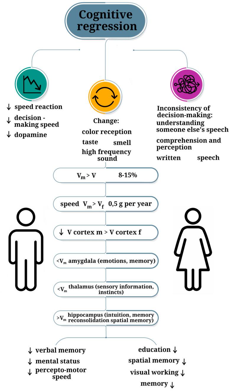 https://cdn.ncbi.nlm.nih.gov/pmc/blobs/1413/11241365/d4a3a8d0e562/ijms-25-07122-g003.jpg