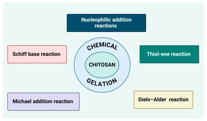 https://cdn.ncbi.nlm.nih.gov/pmc/blobs/1413/12027246/d558342669db/gels-11-00275-g004.jpg
