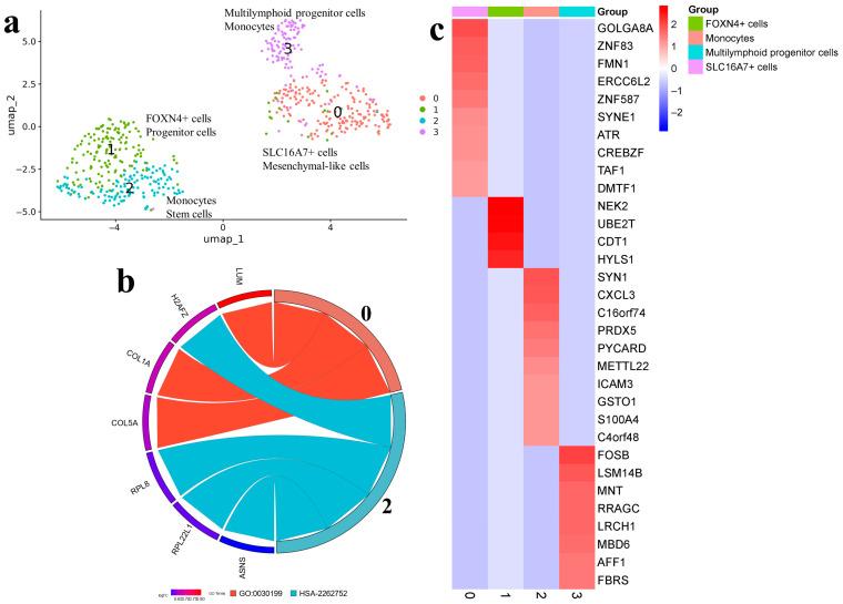 https://cdn.ncbi.nlm.nih.gov/pmc/blobs/1414/11313325/a068d974e9cf/ijms-25-08472-g005.jpg