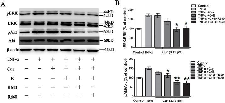 https://cdn.ncbi.nlm.nih.gov/pmc/blobs/1414/4575166/22dbdb3d7637/pone.0138754.g008.jpg