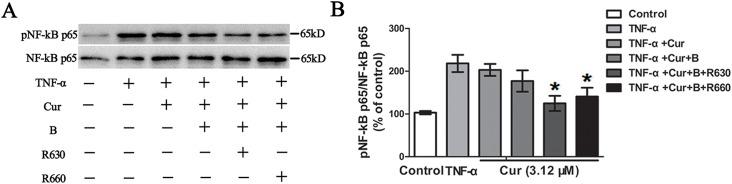 https://cdn.ncbi.nlm.nih.gov/pmc/blobs/1414/4575166/5e25ab958a3b/pone.0138754.g006.jpg