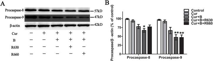 https://cdn.ncbi.nlm.nih.gov/pmc/blobs/1414/4575166/87dd5358c1fa/pone.0138754.g007.jpg