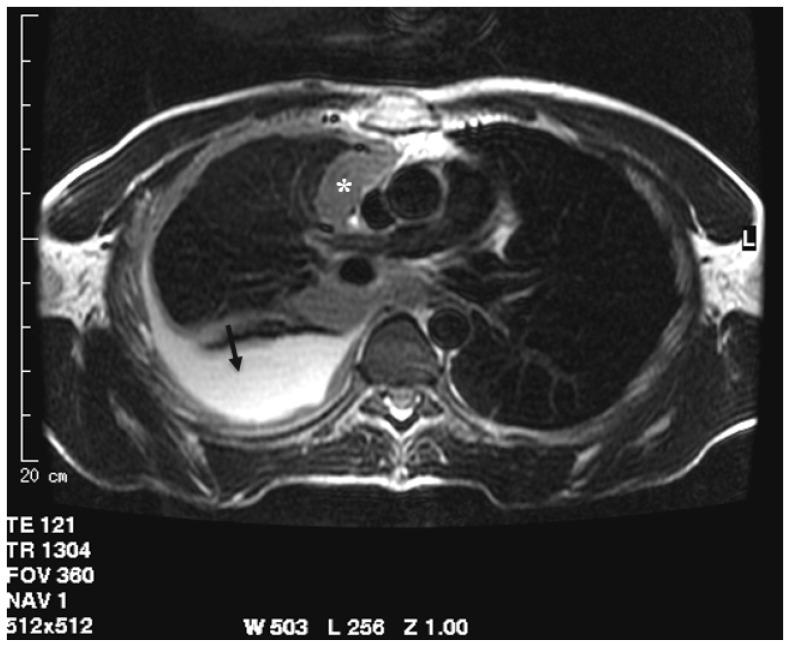 https://cdn.ncbi.nlm.nih.gov/pmc/blobs/1414/8430786/225ddfd13db8/cancers-13-04377-g003.jpg