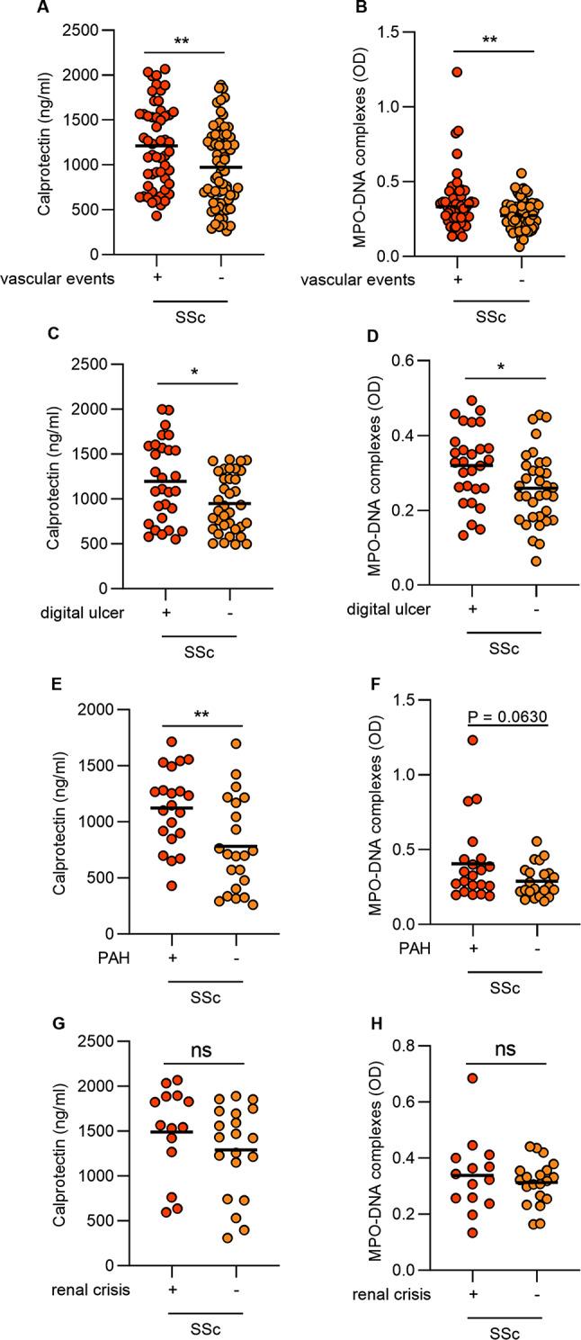 https://cdn.ncbi.nlm.nih.gov/pmc/blobs/1419/11270934/a79e098dc3bc/13075_2024_3379_Fig3_HTML.jpg
