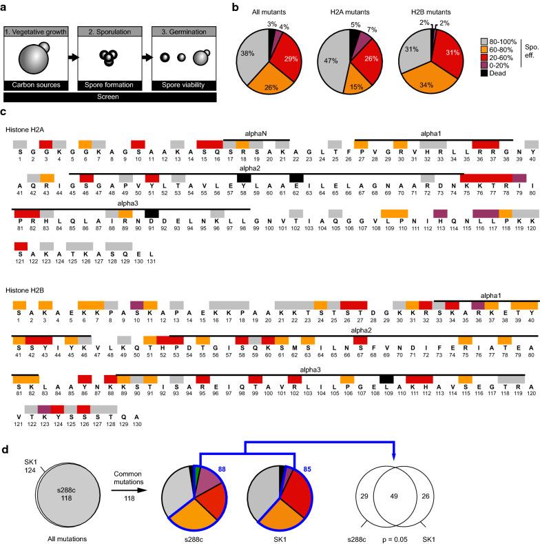 https://cdn.ncbi.nlm.nih.gov/pmc/blobs/1419/7493871/3df87f13401c/13072_2020_349_Fig3_HTML.jpg
