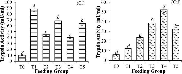 https://cdn.ncbi.nlm.nih.gov/pmc/blobs/141d/10920830/34345ff35b43/41598_2024_56173_Fig5_HTML.jpg