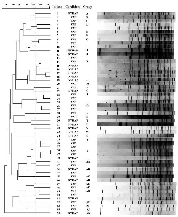 https://cdn.ncbi.nlm.nih.gov/pmc/blobs/141e/3605360/283c422501db/1471-2334-13-142-1.jpg